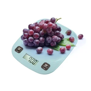 BSCI Factory 5kg Portable Digital Food Kitchen Scale Measures Factory Price Green Color