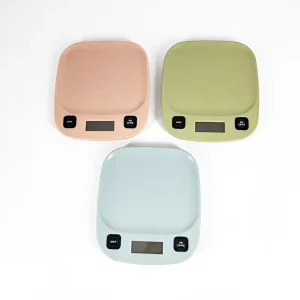 BSCI Rectangle 5Kg Vegetable Digital Electronic Kitchen Scale Plastic Platform Any Color Available Factory Price