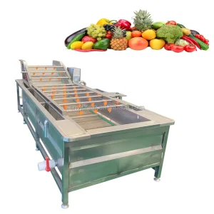 Brush and Spray Orange Pomegranate Fruit Vegetable Root Air Bubble Washing Machine Washer With Conveyor Belt