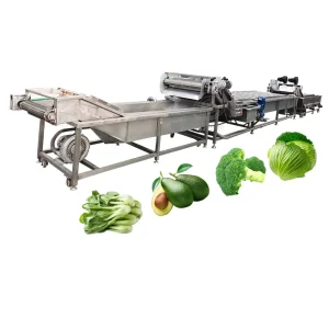 Bubble Fruit Vegetable Washer 304 Stainless Steel Spray Cleaning Equipment Customized Length for Food Processing
