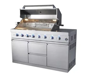 Chicken Machine Chicken Rotisserie Grill Rotisserie Gas Oven for Garden 304/316 Stainless Steel Outdoor Gas Carbon Dual Use BBQ