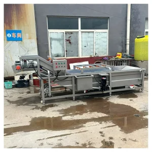 Circulating Water Cabbage Cucumber Spinach Dry Fruit Cleaning Equipment Air Bubble Cleaning Washer Conveyor