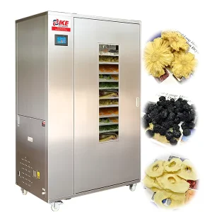 Closed Loop Heat Pump Food Dehydrator for Pineapple Drying Various Fruits Drying