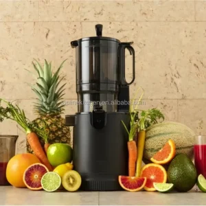 Cold Press Juicer