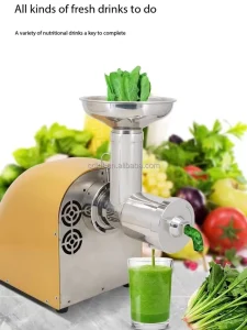 Cold Press Juicer Extractor Machine Low Noise Automatic Vegetable Juicer Machine