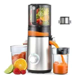 Cold Press Juicer Machine 6” Large Feed Chute 600W Slow Masticating Vegetable Fruit Smoothie Easy Clean Stainless Steel Blades