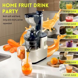 Cold Press Juicer Machine Slow Masticating Juice Extractor Wide Feed Chute Easy Clean Stainless Steel Plastic Construction