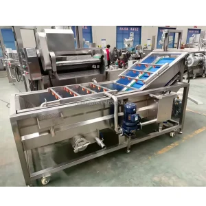 Commercial 304 Stainless Steel Automatic Bubble Cleaning Machine with Motor for Fruits and Vegetables