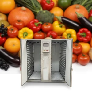Commercial Electric Fruit Dryer Vegetable Dehydrator Nut Drying Oven Room Energy Saving Intelligent Temperature Control