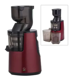 Commercial Electric Fruit Juicer Personal Juicer