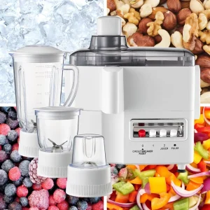 Commercial Electric Juice Blender Smoothie Mixer Food Processor Machine With Chopper