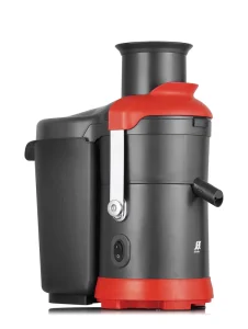 Commercial Electric Masticating Juicer 220V 800W Stainless Steel Blade Brushless Motor 5L Capacity