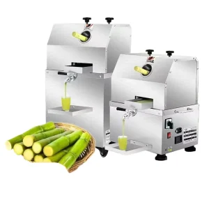 Commercial Electric Motor and Engine Fruit Juicer High Productivity Easy Operation 220V 450W