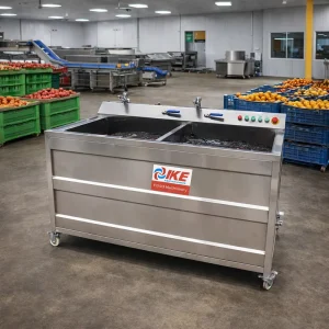Commercial Energy-saving Food Equipment Cleaning Machine Fruit Washing Machine Air Bubble Water Washing Machine