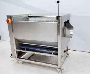 Commercial Fruit Vegetable Bubble Brush Cleaning Washing Machine Food Processing Machine