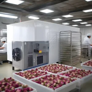 Commercial Fruit Vegetable Dehydrator Machine PLC Controlled CE Certified Energy Saving Heat Pump Dryer Intelligent