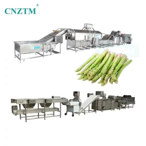 Commercial Fruit & Vegetable Processing Machine with Washing Cutting Drying Functions 304 Stainless Steel PLC Motor & Gear