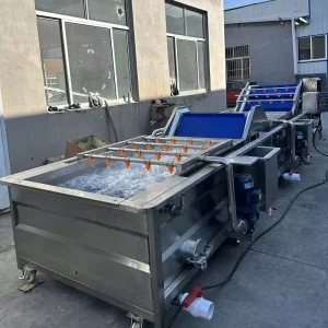 Commercial Fruit and Vegetable Cleaning Machine Bubble Cleaning Machine Fully Automatic Factory Vegetable Washing Machine