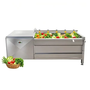 Commercial Fruit and Vegetable Washing Machine Equipment Potato Pumpkin Cleaning and Peeling Machine