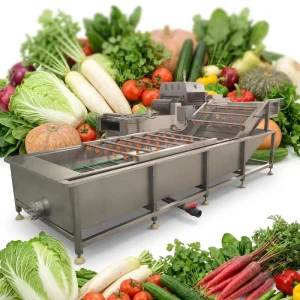 Commercial Fruits Washer Industrial Bubble Washing Machine for Vegetable Wash Basin Fruit Washing Machine