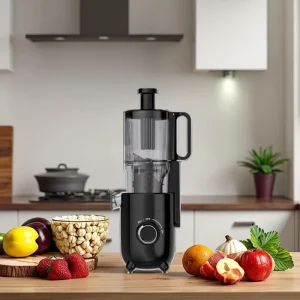 Commercial Grade Electric Stainless Steel DC Low Speed Cold Press Juicer for Home and Commercial Use Low Noise Efficiency