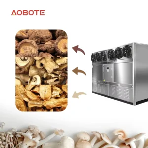 Commercial Heat Pump Dehydrator High Efficiency 304 Stainless Steel Motor PLC Controlled Fruit Sheet Drier 22HP