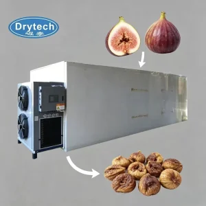 Commercial Heat Pump Dehydrator Machine Integrated Drying Equipment for Fruit Vegetable