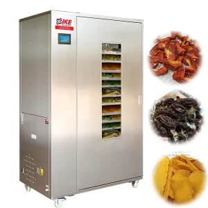 Commercial Heat Pump Grape Food Drying Machine Fruit Mango Raisin Tomato Dehydrator