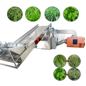 Commercial Heat Pump Oat Grass Drying Machine Industrial Automatic Mesh Belt Hay Dryer Animal Feed Fodder Dehydrator Machine CE