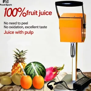 Commercial Household Party Restaurant Fruit Orange Blender Watermelon Citrus Juicer Extractor Machine