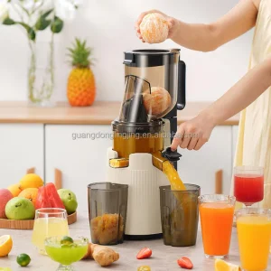 Commercial Household Slow Juicer Machine Cold Press Fruit Vegetable Juice Extractor Easy Clean Low Noise Juicer