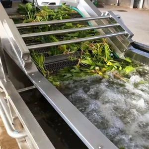 Commercial Industrial Stainless Steel Fruit Washer Leaf Vegetable Bubble Washing Conveyor Machine with PLC Engine Bearing