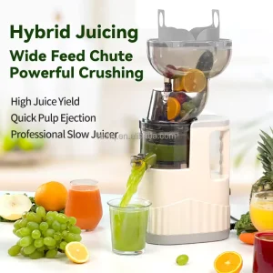 Commercial Juicer with Wide Feed Chute Fit Whole Vegetables and Fruits Household Cold Press Slow Juicer Extractor Machines