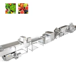 Commercial Leafy Green Vegetable Processing Line with Immersion Washer Spin Dryer Root Vegetables and Air Drying Conveyor