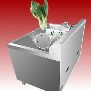 Commercial Multi Functional High Power Vortex Vegetable Nut Fruit Washer Motor Cleaner Disinfector for Restaurant Kitchen Use