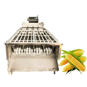 Commercial Multifunctional Food Grade Bubble Washer Machine for Fruit Vegetable Corn Processing Plants