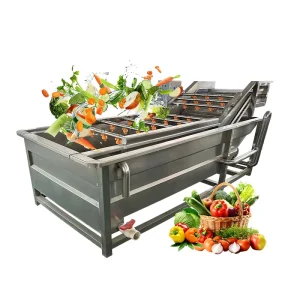 Commercial Small Scale Citrus Fruit Leaf Vegetable Washing Machine 800kg h Capacity