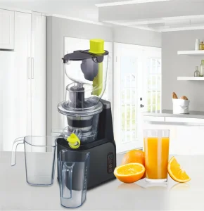 Commercial Smoothie Extractor Slow Cold Press Juicer Exprimidor De Frutas Entsafter Jusar Machine Fruit Juicer