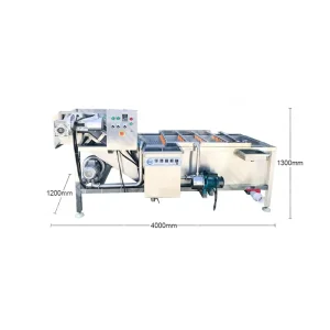 Commercial Soft Brush Wash Machine for Root Vegetables and Oval Fruits