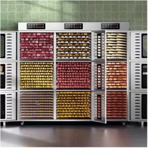 Commercial Stainless Steel Apple Dehydrator with Electric Heating for High Efficiency Fruit Chip Production