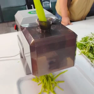 Commercial Vegetable Chopper Machine Electric Food Processor Slicer Shredder for Green Onion Scallion Chili Celery Use