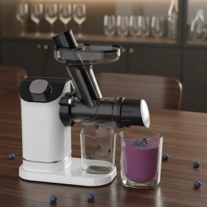 Competitive Price Juicer Extractor Machine Horizontal Slow Juicer Easy to Clean with Brush