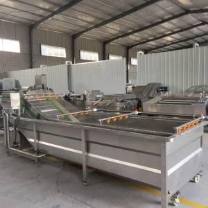 Continuous Circulating Bamboo Leaf Washer Lemon High Pressure Spraying Bubble Washer Kelp Bubble Vegetable Washer 380V 5.25KW