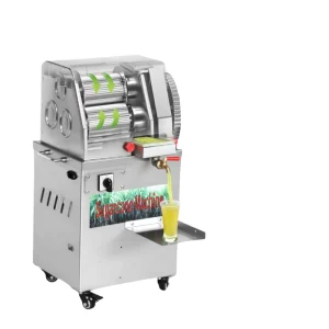 Convenient Portable 150kg h Electric Stainless Steel Sugarcane Juicer Machine 3L Capacity Anti Drip Design Semi automatic 450W 1