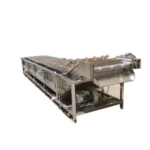 Corn Based Fruit Vegetable Cleaning Machine Cactus Raisin Watermelon Washer with Motor for Apple Orange Coconut Meat Washing