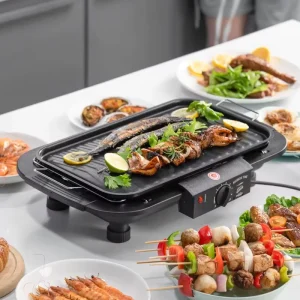 Cross Border EU Electric Grill Smokeless Non Stick BBQ Griddle Electric Roaster Dual Use Electric Charcoal Home Kitchen