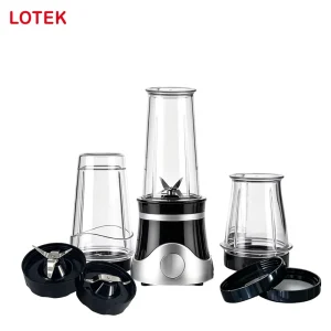 Customizable Mini Smoothie Blender 300W OEM ODM Private Label BPA Free CE LFGB Factory