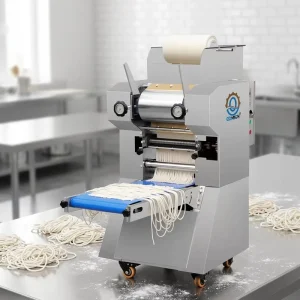 Customizable Size Portable Electric Handmade Style Fresh Noodle Multi functional Noodle Making Machine