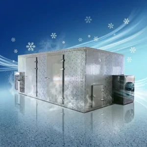 Customized Dehydrator Machine Fruit Onion Dryer Drying Machine