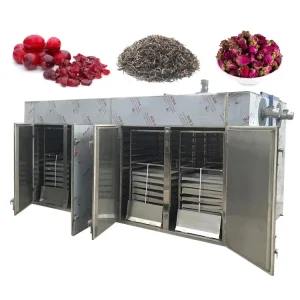 Customized Electric Gas Industrial Food Drying Dehydrator Beef Jerky Chicken Fish Egg Meat Dryer Machine